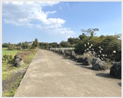  2024Ÿ12875    긮 2775      (Ӿ)