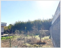  2024Ÿ��12967  �������