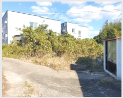  2024Ÿ��12967  �������