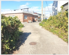  2024Ÿ��12967  �������