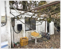  2024Ÿ13335  ֽ õ Դ 68-5      ,â