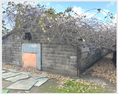  2024Ÿ13335  ֽ õ Դ 68-5      ,â