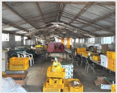  2024Ÿ13335  ֽ õ Դ 68-5      ,â