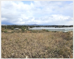  2024Ÿ��13427 ���� �������� �ȴ��� ������ 173-3      ����(������)���