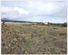  2024Ÿ��13427 ���� �������� �ȴ��� ������ 173-3      ����(������)���