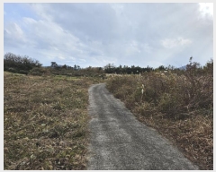  2024Ÿ��13427 ���� �������� �ȴ��� ������ 173-3      ����(������)���