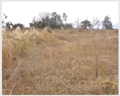  2024Ÿ��13427 ���� �������� �ȴ��� ������ 173-3      ����(������)���