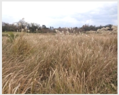  2024Ÿ��13427 ���� �������� �ȴ��� ������ 173-3      ����(������)���