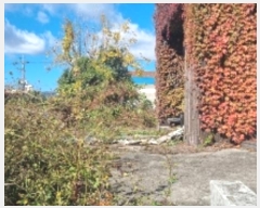  2024Ÿ32640   ͵ 324-7       ð