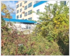  2024Ÿ32640   ͵ 324-7       ð