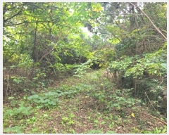  2024Ÿ��34028 ���� ���ֽ� �Ѱ�� ������ 1536-1      ����,â�����