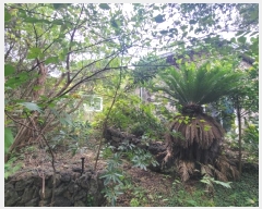  2024Ÿ��34028 ���� ���ֽ� �Ѱ�� ������ 1536-1      ����,â�����