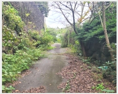  2024Ÿ��34028 ���� ���ֽ� �Ѱ�� ������ 1536-1      ����,â�����