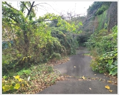  2024Ÿ��34028 ���� ���ֽ� �Ѱ�� ������ 1536-1      ����,â�����