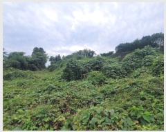  2024Ÿ��34028 ���� ���ֽ� �Ѱ�� ������ 1536-1      ����,â�����