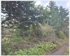  2024Ÿ��35564 ���� ���ֽ� ������ ����� 2373      ����(�Ӿ�)���