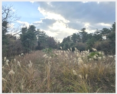  2024Ÿ��35564 ���� ���ֽ� ������ ����� 2373      ����(�Ӿ�)���