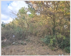  2024Ÿ��35564 ���� ���ֽ� ������ ����� 2373      ����(�Ӿ�)���