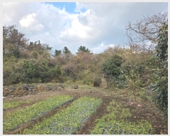  2024Ÿ��35564 ���� ���ֽ� ������ ����� 2373      ����(�Ӿ�)���