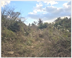  2024Ÿ��35564 ���� ���ֽ� ������ ����� 2373      ����(�Ӿ�)���