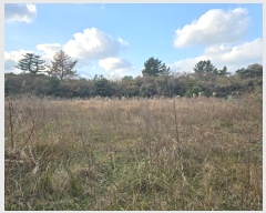  2024Ÿ��35564 ���� ���ֽ� ������ ����� 2373      ����(�Ӿ�)���