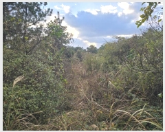  2024Ÿ��35564 ���� ���ֽ� ������ ����� 2373      ����(�Ӿ�)���