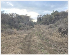  2024Ÿ��35564 ���� ���ֽ� ������ ����� 2373      ����(�Ӿ�)���