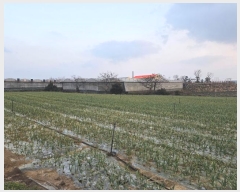  2024Ÿ36284  ֽ Ѱ 긮 1511      (1)