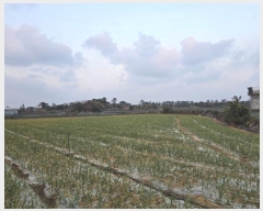  2024Ÿ36284  ֽ Ѱ 긮 1511      (1)