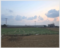  2024Ÿ36284  ֽ Ѱ 긮 1511      (1)