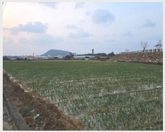  2024Ÿ36284  ֽ Ѱ 긮 1511      (1)