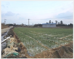  2024Ÿ36284  ֽ Ѱ 긮 1511      (1)