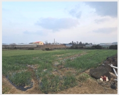  2024Ÿ36284  ֽ Ѱ 긮 1511      (1)