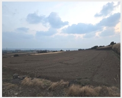  2024Ÿ36284  ֽ Ѱ 긮 1511      (1)