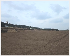  2024Ÿ36284  ֽ Ѱ 긮 1511      (1)