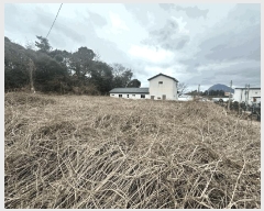  2024Ÿ��37089 ���� �������� �ȴ��� ��â�� 1579-26      ����(������)���