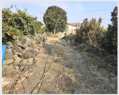  2024Ÿ37515   66 11       ð