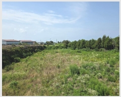  2024Ÿ��6795 ���� ���ֽ� �ֿ��� ���ɸ� 61-1      ����(��1)���