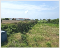  2024Ÿ��6795 ���� ���ֽ� �ֿ��� ���ɸ� 61-1      ����(��1)���