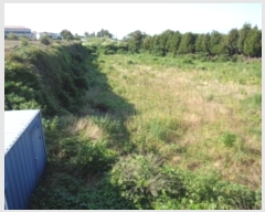  2024Ÿ��6795 ���� ���ֽ� �ֿ��� ���ɸ� 61-1      ����(��1)���