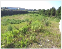  2024Ÿ��6795 ���� ���ֽ� �ֿ��� ���ɸ� 61-1      ����(��1)���