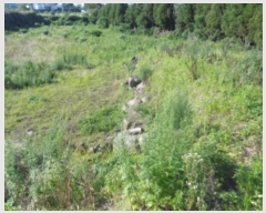  2024Ÿ��6795 ���� ���ֽ� �ֿ��� ���ɸ� 61-1      ����(��1)���