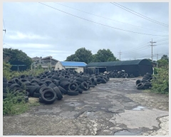  2024Ÿ��11186  ����