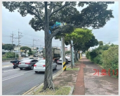  2024Ÿ��11186  ����