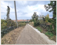  2024Ÿ12882  ֽ ؾȸ4 100, 1 5025ȣ (Ȳ : 5025, 5026) ܵ(ȣ)