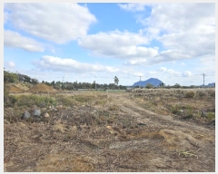  2024Ÿ13069     718-1      (Ӿ)