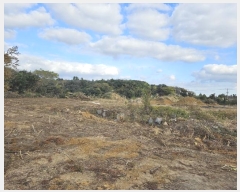  2024Ÿ13069     718-1      (Ӿ)