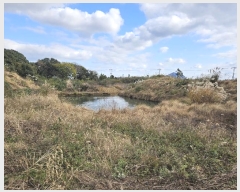  2024Ÿ13069     718-1      (Ӿ)