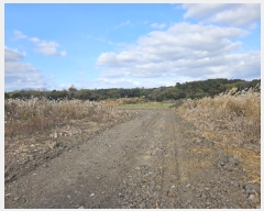  2024Ÿ13069     718-1      (Ӿ)