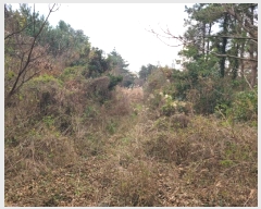  2024Ÿ13434  ֽ Ѹ 븮 666      (Ӿ)